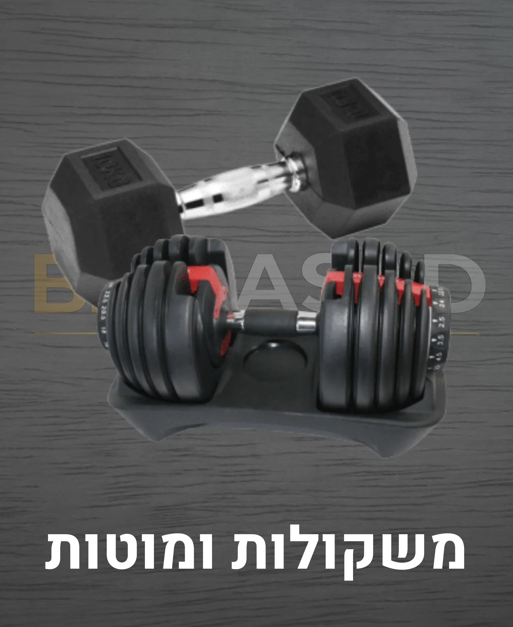 משקולות ומוטות בן אסד